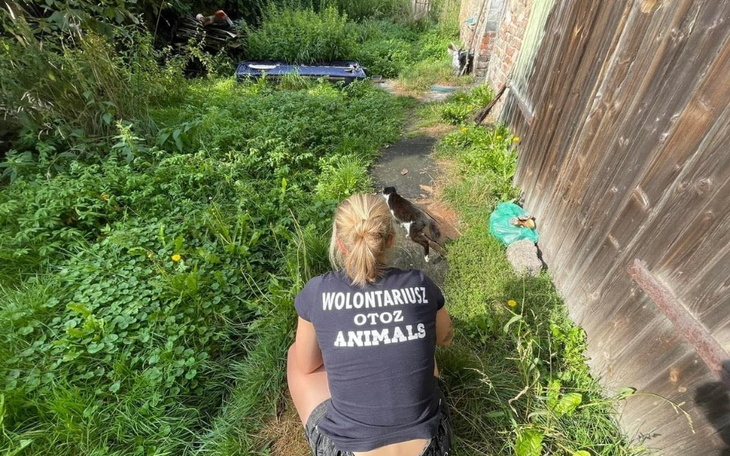 Wolontariuszka w ogrodzie z ptakiem.