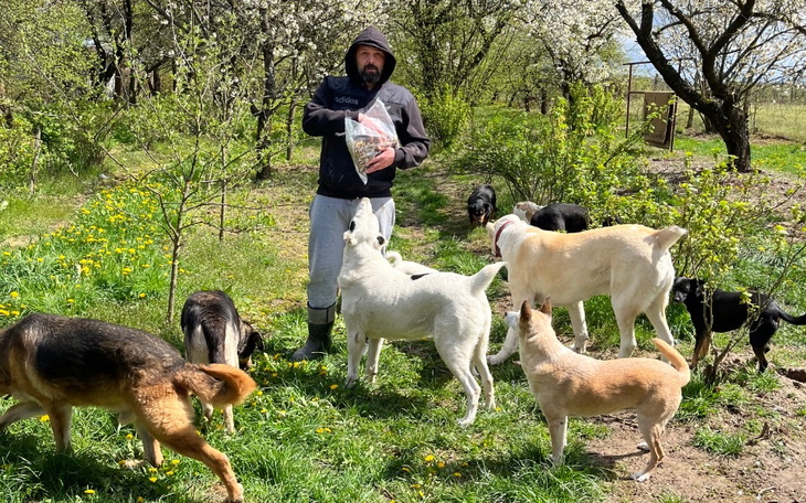 Zbiórka Budowa wybiegów - zdjęcie główne