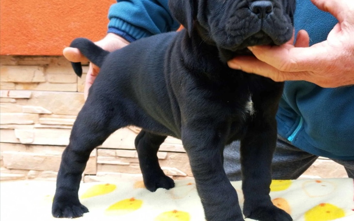 Zbiórka Na przyjaciela do końca zycia - zdjęcie główne