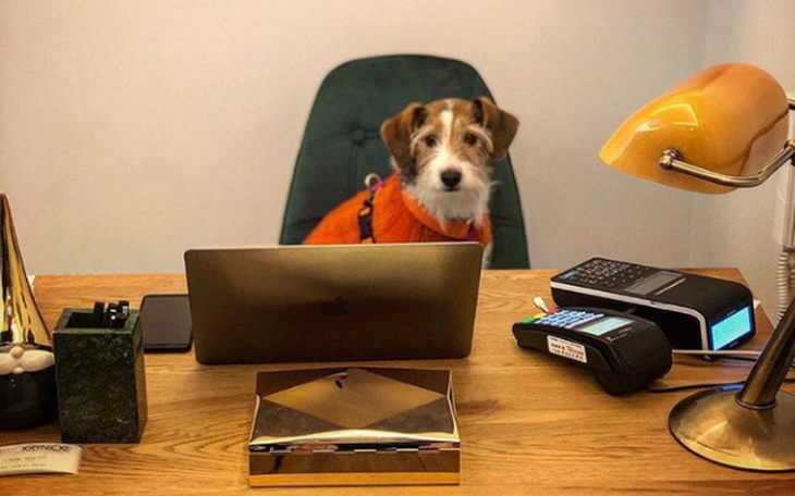 Zbiórka Pomoc z okazji ok7 urodzin Wiesi - zdjęcie główne