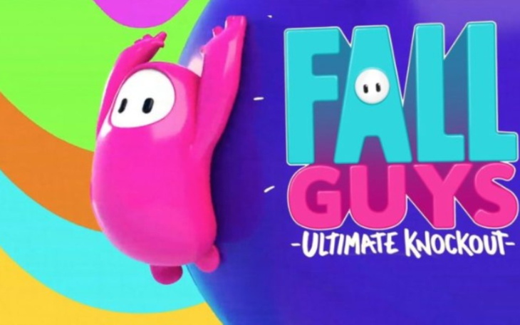 Zbiórka na gre komputerową fall guys - zdjęcie główne