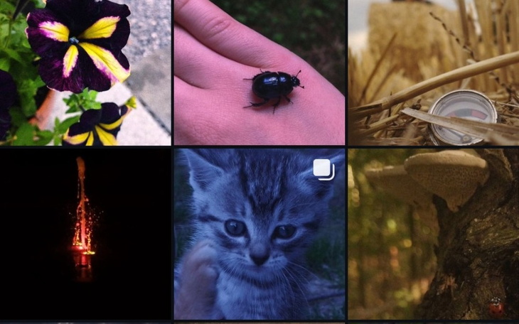 Zbiórka Zbieram na moje hobby-aparat - zdjęcie główne