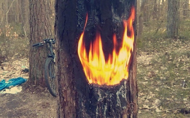 Zbiórka PC inwestycja w streaming - zdjęcie główne