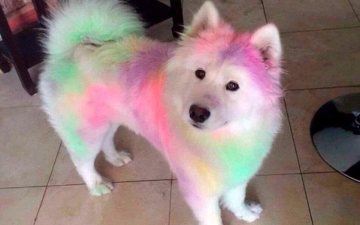 Zbiórka Zbieram na pierwszy samochód ;) - zdjęcie główne