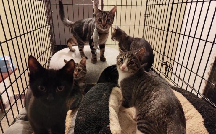 Zbiórka Lokal i woda we wrześniu 2024 - zdjęcie główne