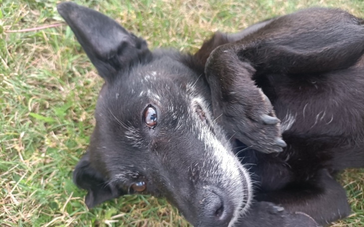 Zbiórka Koszyk rowerowy dla Krystianka - zdjęcie główne