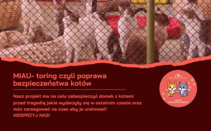 Plakat promujący projekt ochrony kotów, z ilustracjami zwierząt.