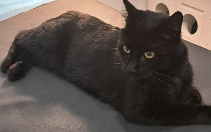 Zbiórka Pomóżmy stanąć na nogi Sławkowi - zdjęcie główne