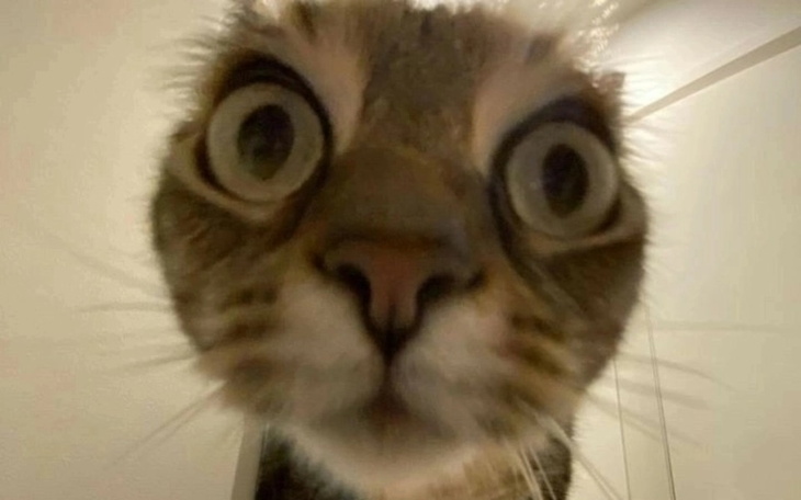 Zbiórka Zbieram na Wyjazd na obóz - zdjęcie główne