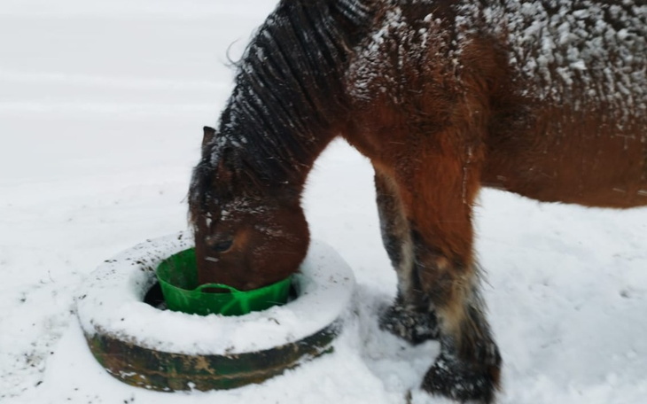Zbiórka NIEgłodne miesiące - zdjęcie główne