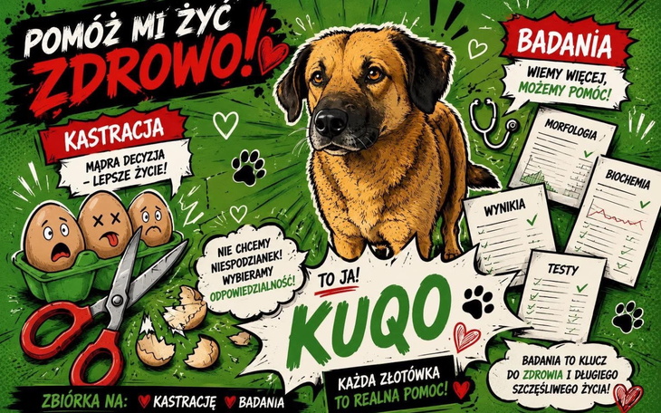 Ilustracja psa z informacjami o kastracji i badaniach.