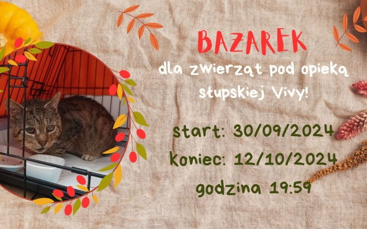 Zbiórka Bazarek dla zwierząt - zdjęcie główne