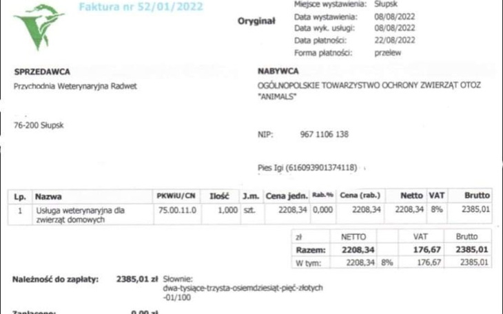 Zbiórka Połamana łapka Igusia część 2 - zdjęcie główne