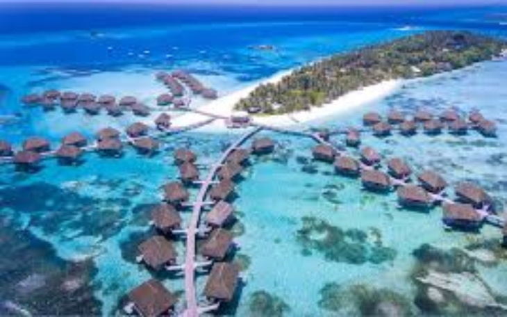 Zbiórka Wakacje wymarzone. - zdjęcie główne