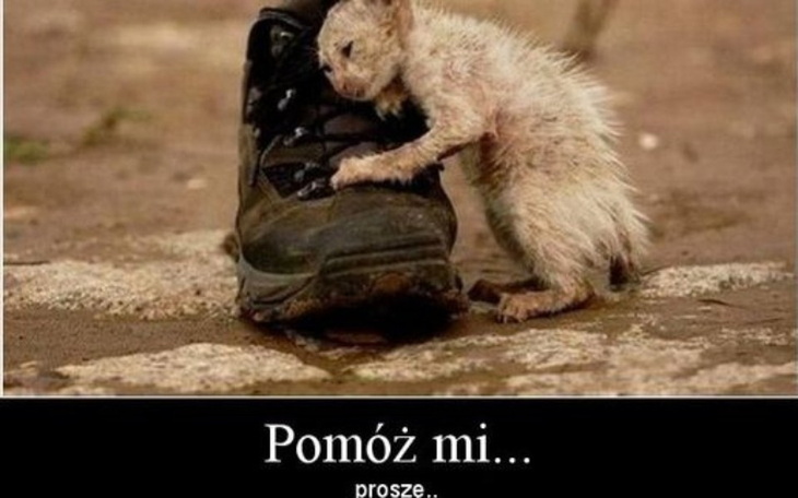 Zbiórka Na święta dla biednej rodziny - zdjęcie główne