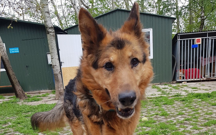 Zbiórka Mieszkanie dla Staruszków. - zdjęcie główne