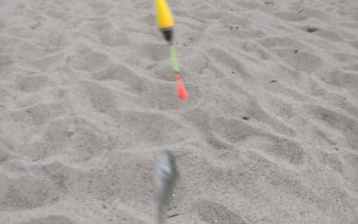 Zbiórka Na wedkowanie ps uczę sie - zdjęcie główne