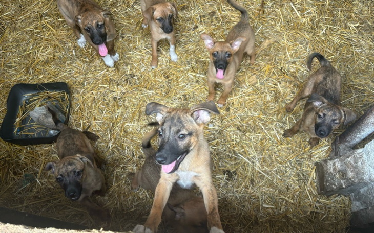 Zbiórka Jest pomoc dla dzieciaków - zdjęcie główne
