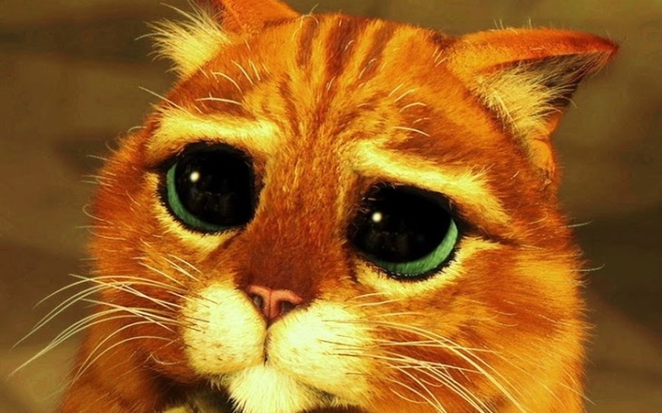 Zbiórka Na nowe jordany - zdjęcie główne