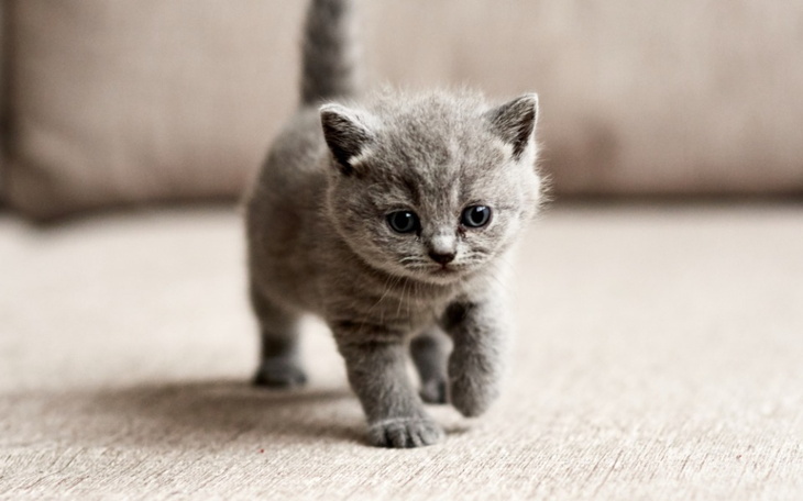 Zbiórka Co raz mniej czasu - zdjęcie główne