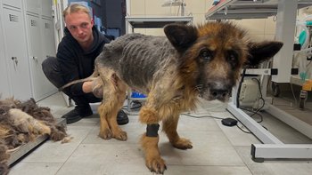 Zbiórka Konał za śmietnikiem jak śmieć - miniaturka zdjęcia