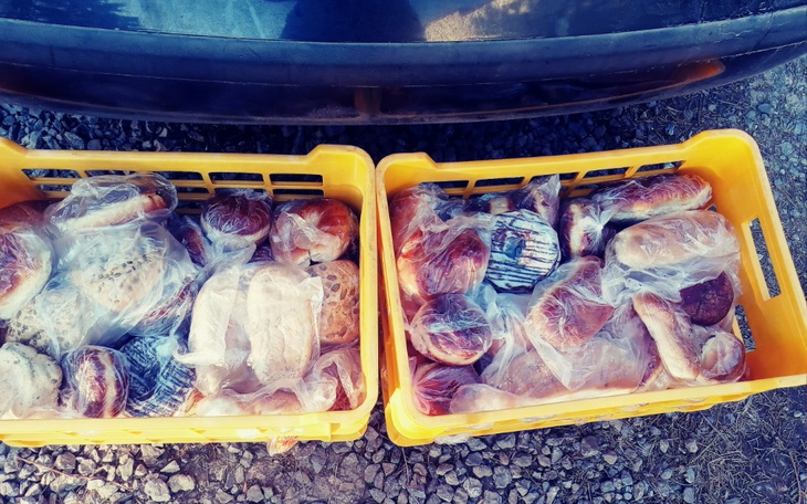 Zbiórka Zakup Pieczywa oraz Paliwa - zdjęcie główne