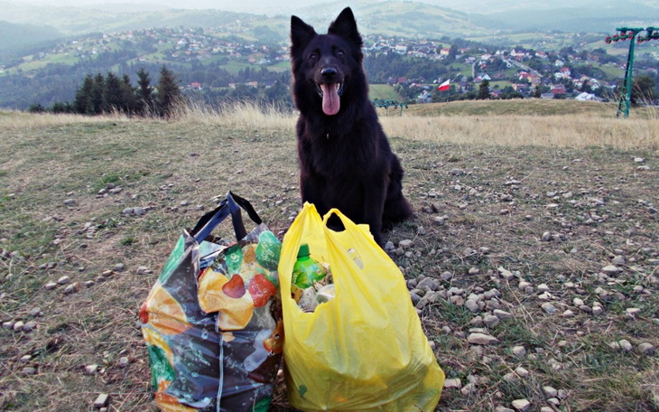 Zbiórka Impreza paliwowo-śmieciowa - zdjęcie główne
