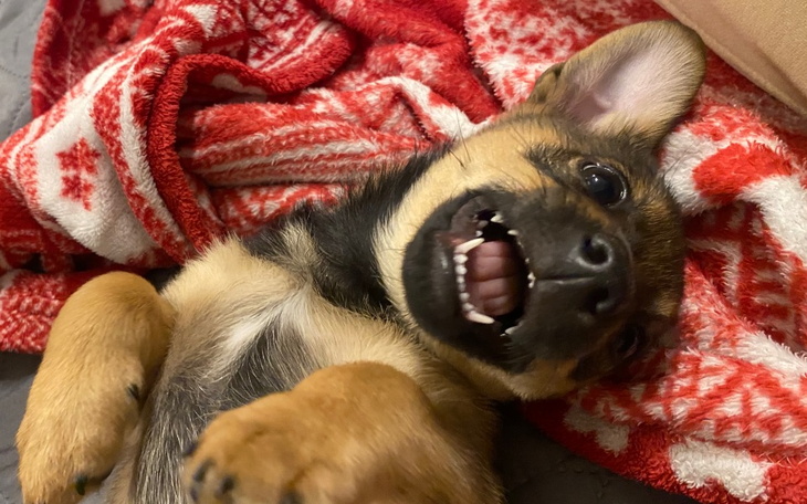 Zbiórka Coffee potrzebuje wsparcia - zdjęcie główne