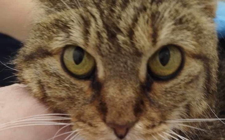 Zbiórka Zaległa faktura i utrzymanie SOS - zdjęcie główne