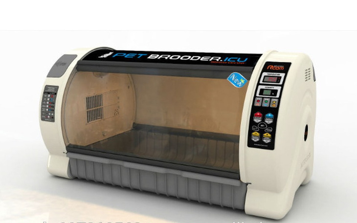 Zbiórka Inkubator dla zwierząt - zdjęcie główne