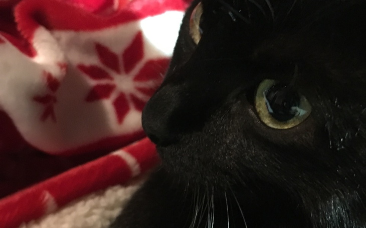 Zbiórka Walczymy o oddech Jagódki - zdjęcie główne