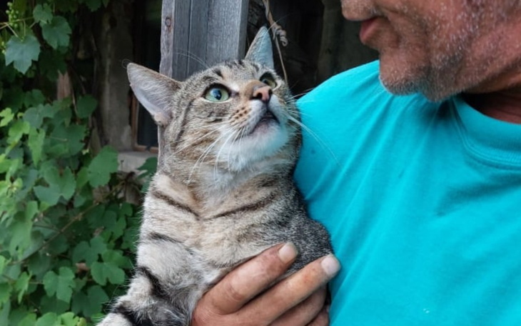 Zbiórka Piotruś - rok zamknięty w szopie - zdjęcie główne