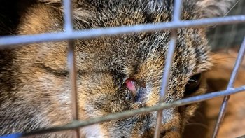 Zbiórka Brakuje na wszystko - miniaturka zdjęcia