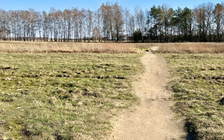 Zbiórka Nadziałke - zdjęcie główne