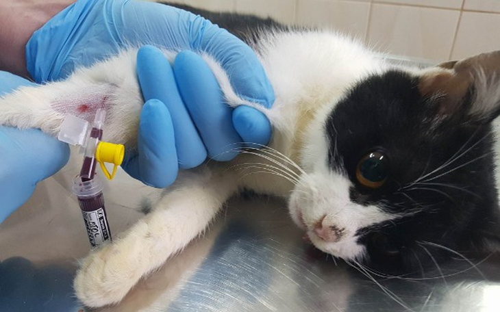 Zbiórka Zostawione jak rzecz... - zdjęcie główne