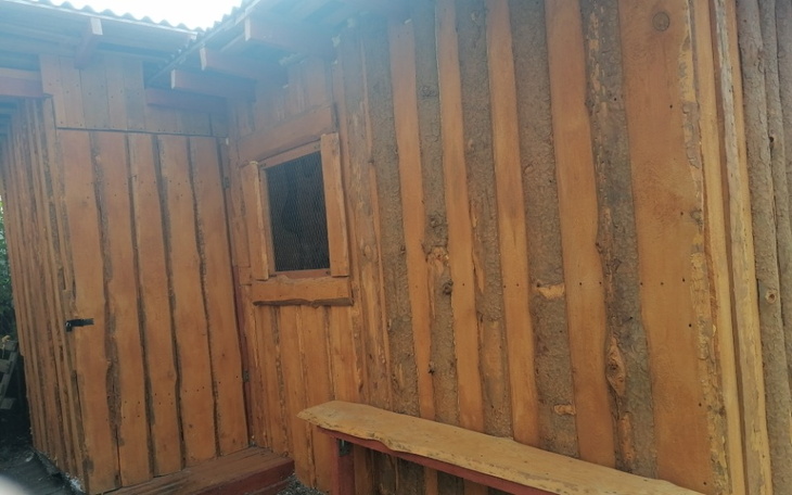 Zbiórka Ocieplenie kociarni - zdjęcie główne