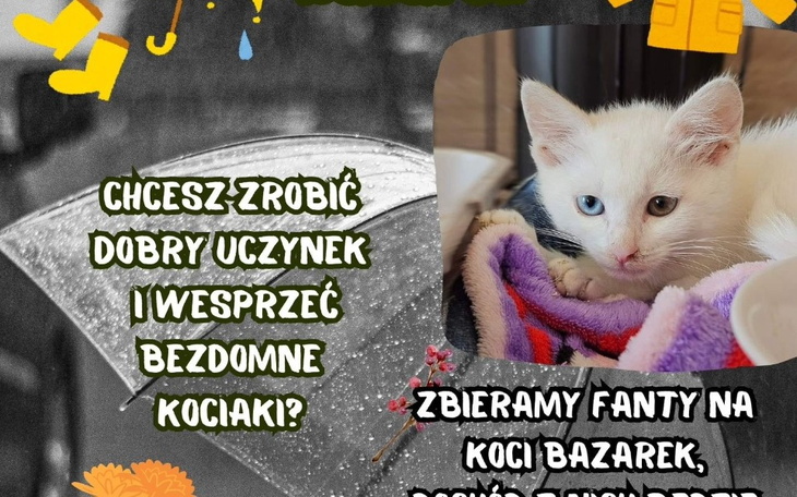 Zbiórka Listopadowy Bazarek - zdjęcie główne