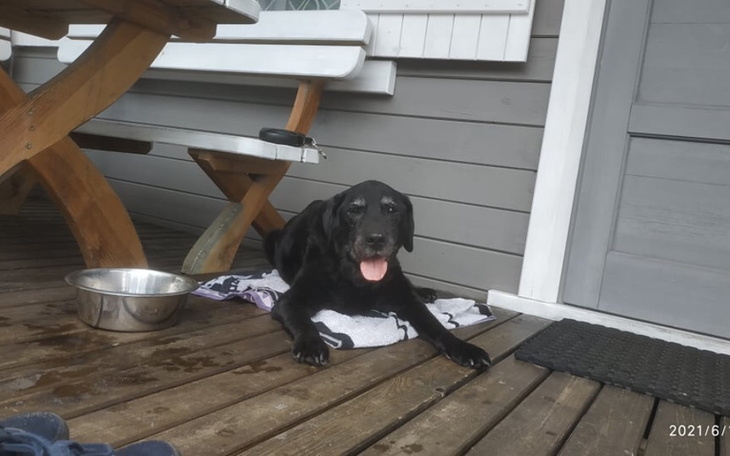 Zbiórka 15 letni Diego, prosi o wsparcie - zdjęcie główne