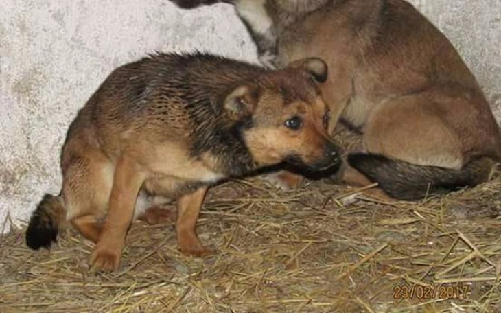 Zbiórka Nowe źycie - zdjęcie główne