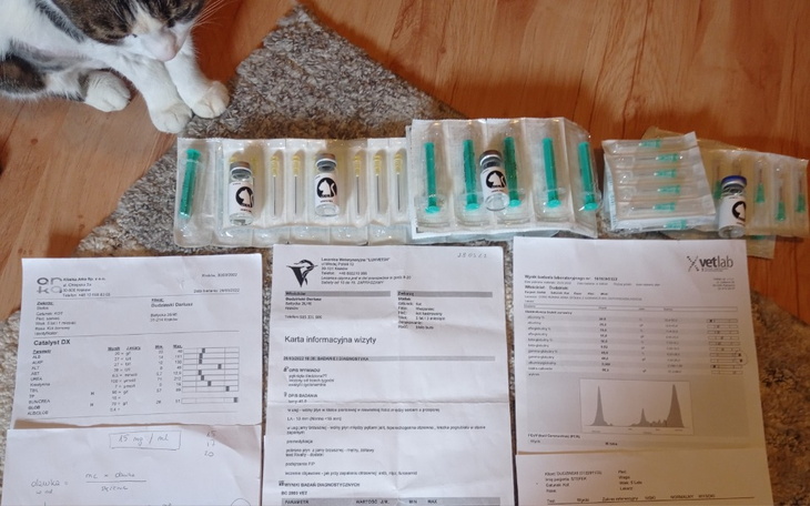 Zbiórka Stefek Moje Wszystko - zdjęcie główne