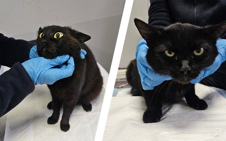 Zbiórka Chilii i Kardamon - zdjęcie główne