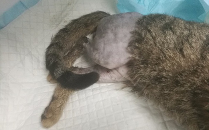 Zbiórka Złamana miednica - wyrok ? NIE - zdjęcie główne