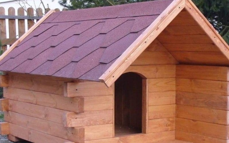 Zbiórka Zbieramy na bude pupilka - zdjęcie główne