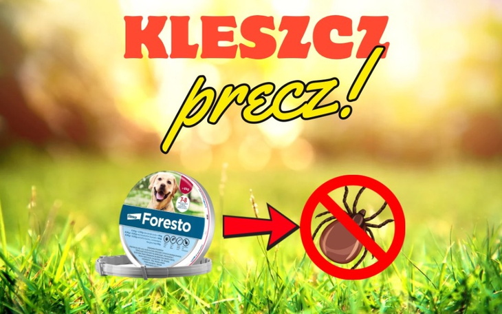 Reklama środka na kleszcze, z hasłem 'Kleszcz precz!'