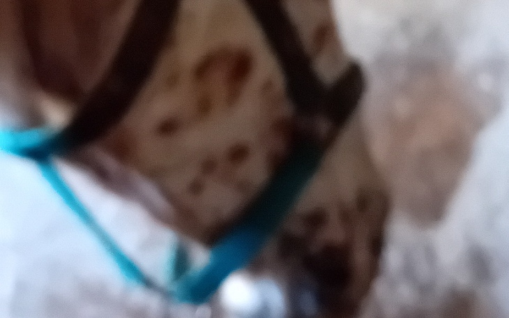 Zbiórka Założenie sklepu internetowego z - zdjęcie główne