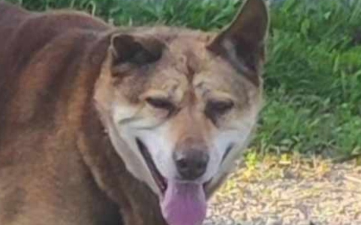 Zbiórka Litości dla tego Zycia - zdjęcie główne