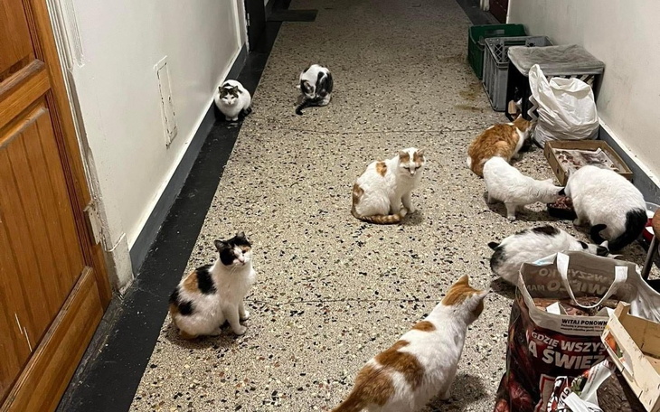 Zbiórka JESZCZE nie jest ZA PÓŹNO - zdjęcie główne