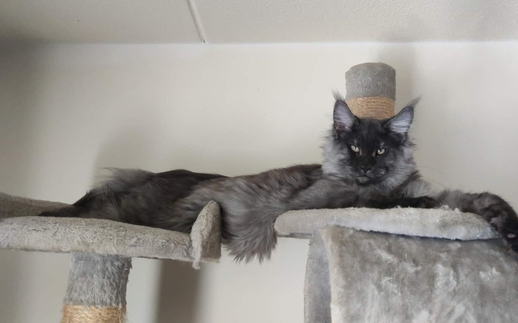 Zbiórka Stefcio - zdjęcie główne