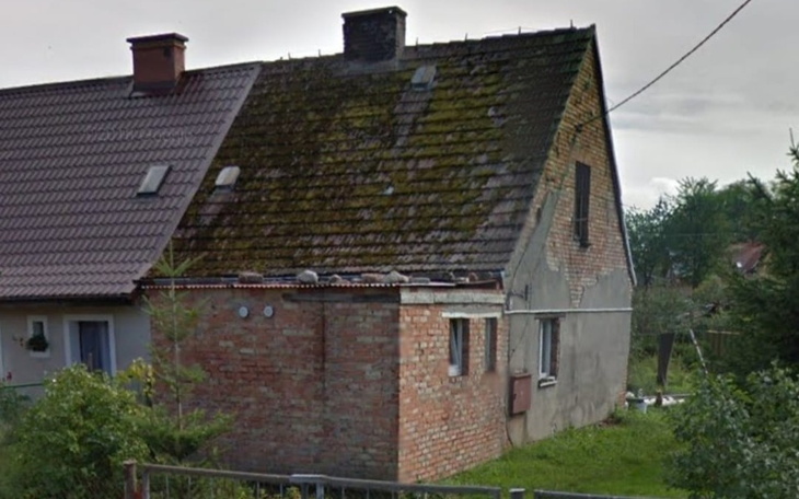 Stary dom z zielonymi porostami na dachu, w otoczeniu roślinności.