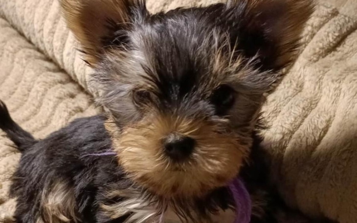 Zbiórka Zbiórka na Tofika - zdjęcie główne